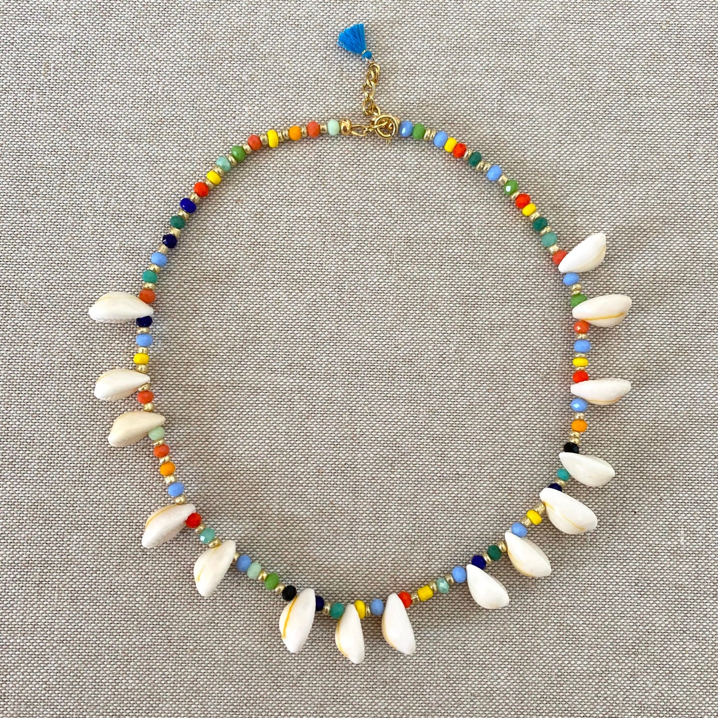 Multicolor Fairy Seashells